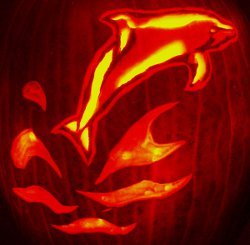 Leaping Dolphin Pumpkin Carving Pattern