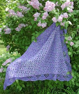 Small Fans Shawl