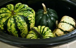 How to Cook Squash in the Slow Cooker
