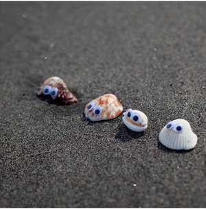 Sea Shell Pets