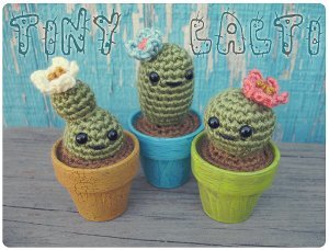 Tiny Cacti