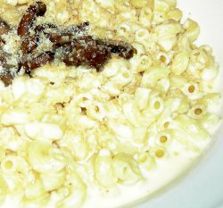 Homemade Noodles and Company Truffle Mac