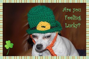 Leprechaun Dog Hat