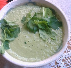 Easy Cream of Celery Soup