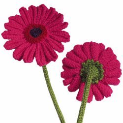 Knit Gerbera Daisies