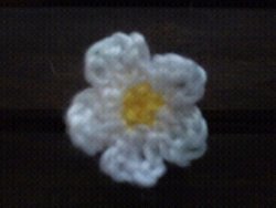 Dainty Crochet Daisy
