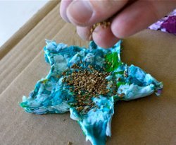 Shredded Paper Seed Starters