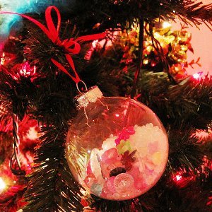 I Spy Christmas Ornaments