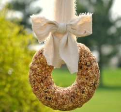 Basic Birdseed Wreath