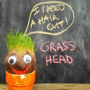 Silly Grass Heads