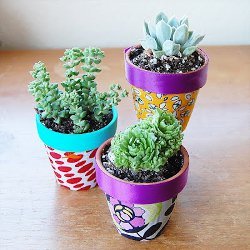 Jazzed Up Flower Pots