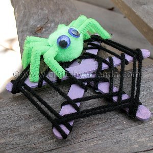 Spooky Spun Spider Web
