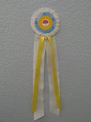 Crepe Paper Rosettes