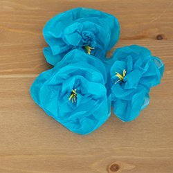 Blossoming Paper Flowers