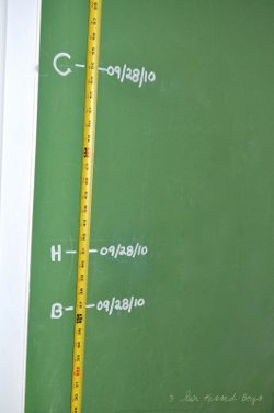 Tape Measure Growth Chart