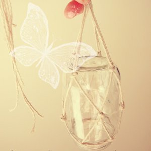Hanging Glass Butterfly Feeders