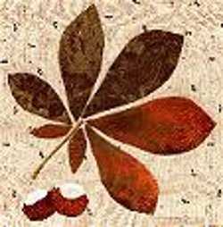 Chestnut Applique Leaf