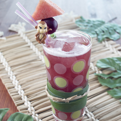 Kids Watermelon Grape Fizz