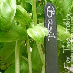 Recycled Chalkboard Seed Markers