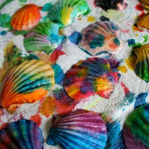 Pretty Painted Seashells