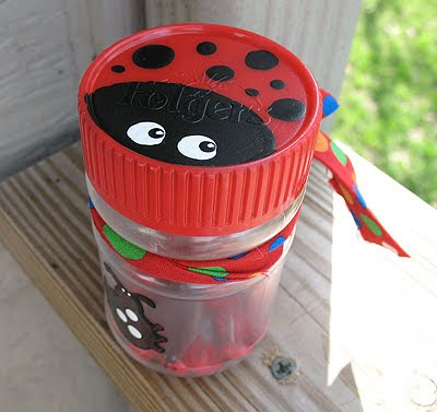 Upcycled Ladybug Storage Jars