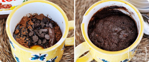 Chocolate Nutella 2 Minute Mug Cake