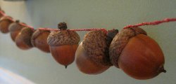 Acorn Garland