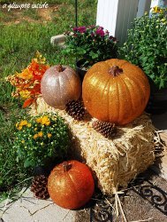 Sparkly Mini Fall Pumpkins