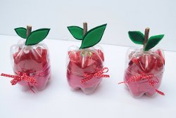 Plastic Bottle Apple Gift