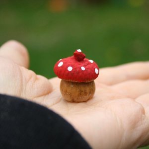 Enchanted Acorn Toadstools