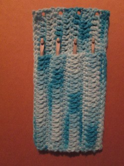 Easy Crochet Hook Case