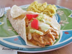 Slow Cooker Mexican Style Chicken