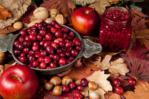 14 Great Cranberry Recipes to Add to Your Thanksgiving Menu