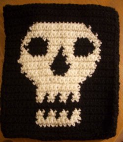 Skull iPad Case