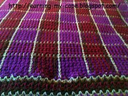 Raspberry Plaid Blanket