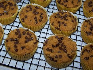 Gluten Free Pumpkin Chocolate Muffins