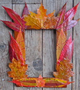 Fanciful Fall Foliage Frame