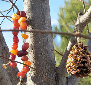 Fly Bird Treat Garland