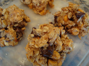 Vegan Maple Nut Chocolate Oaties