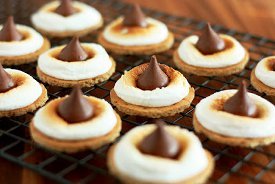 Better Than S'mores Bites