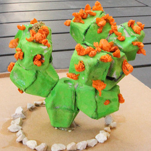 Cactus Egg Carton Craft