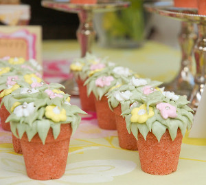 Sugar Cube Flower Pots