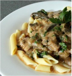 Slow Cooker Mushroom Stroganoff