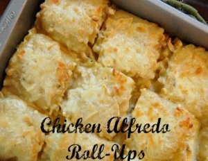 Chicken Alfredo Roll-Ups