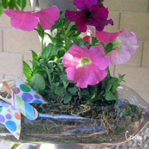 Water Bottle Flower Pot