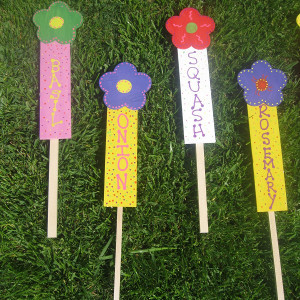 Garden Stakes