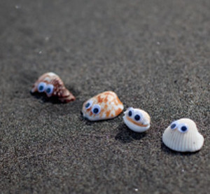 Seashell Beach Buddies
