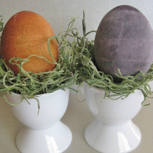 It's All Natural Easter Egg Dyeing