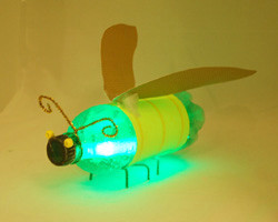 Ready, Set, Glow Firefly