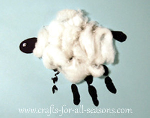 Cuddly Cotton Sheep